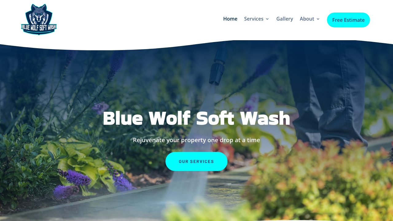 Blue Wolf Soft Wash website