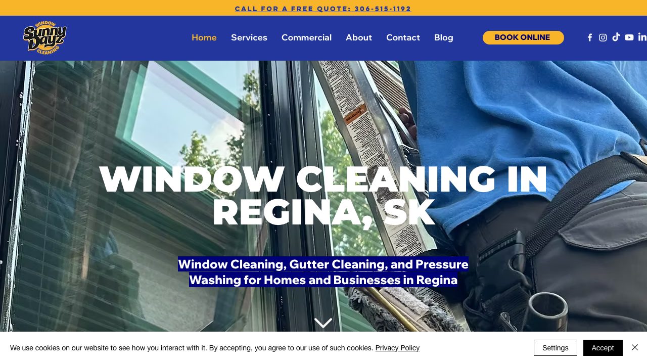 Sunny Dayz Window Cleaning website