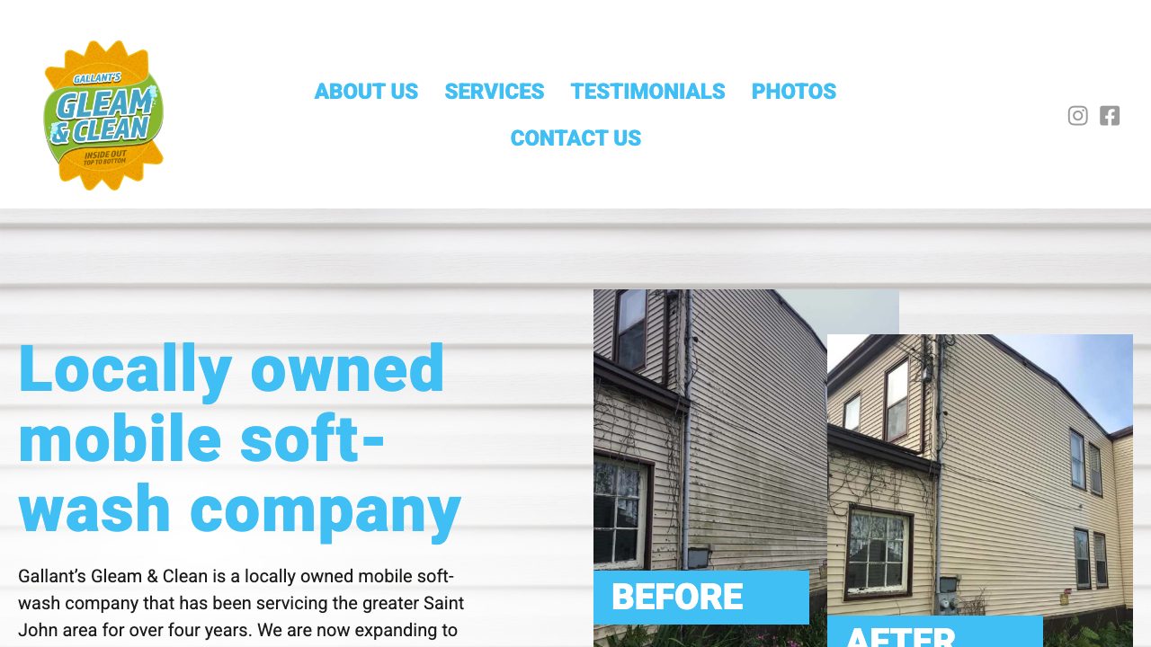 Gallant's Gleam & Clean website