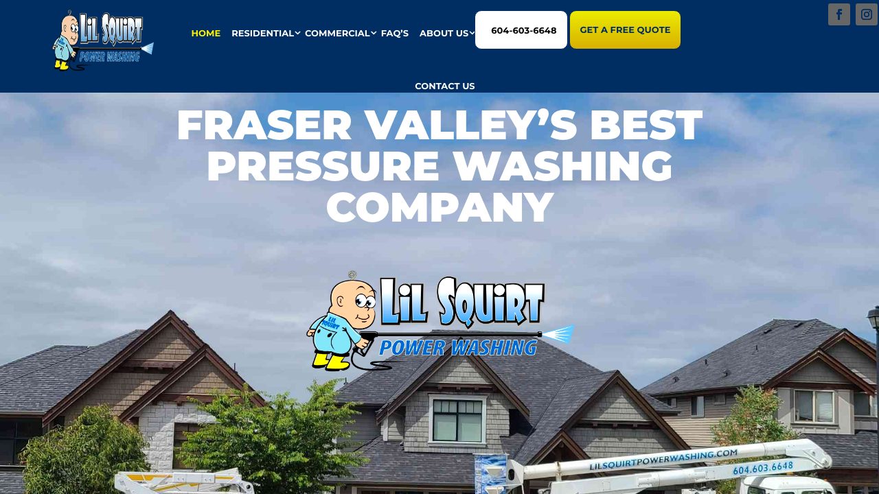 Lil Squirt Power Washing website