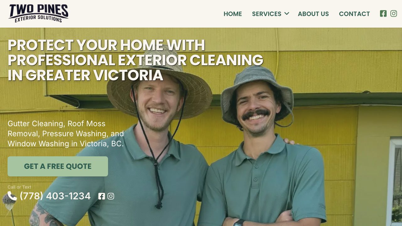 Two Pines Exterior Solutions website